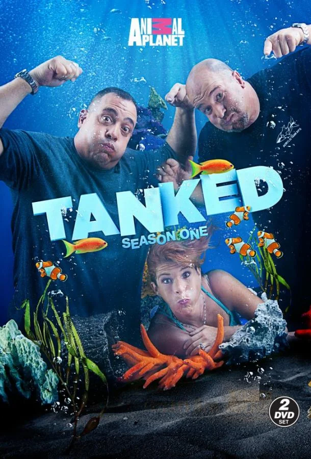 Аквариумный бизнес ТВ шоу2011смотреть онлайн бесплатно