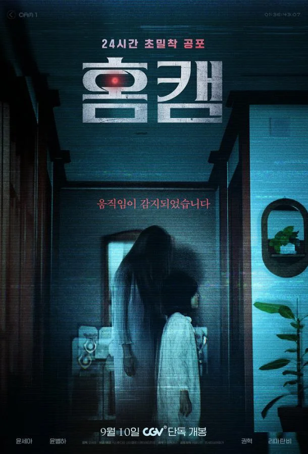 Домашняя камера Фильм2025смотреть онлайн бесплатно